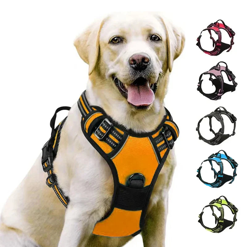 Harnesses