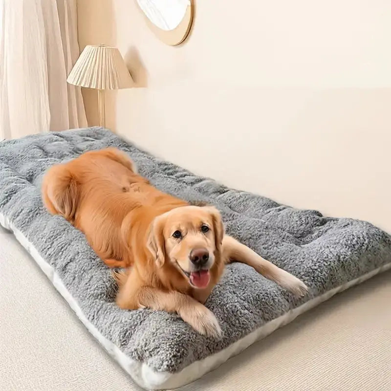 Beds