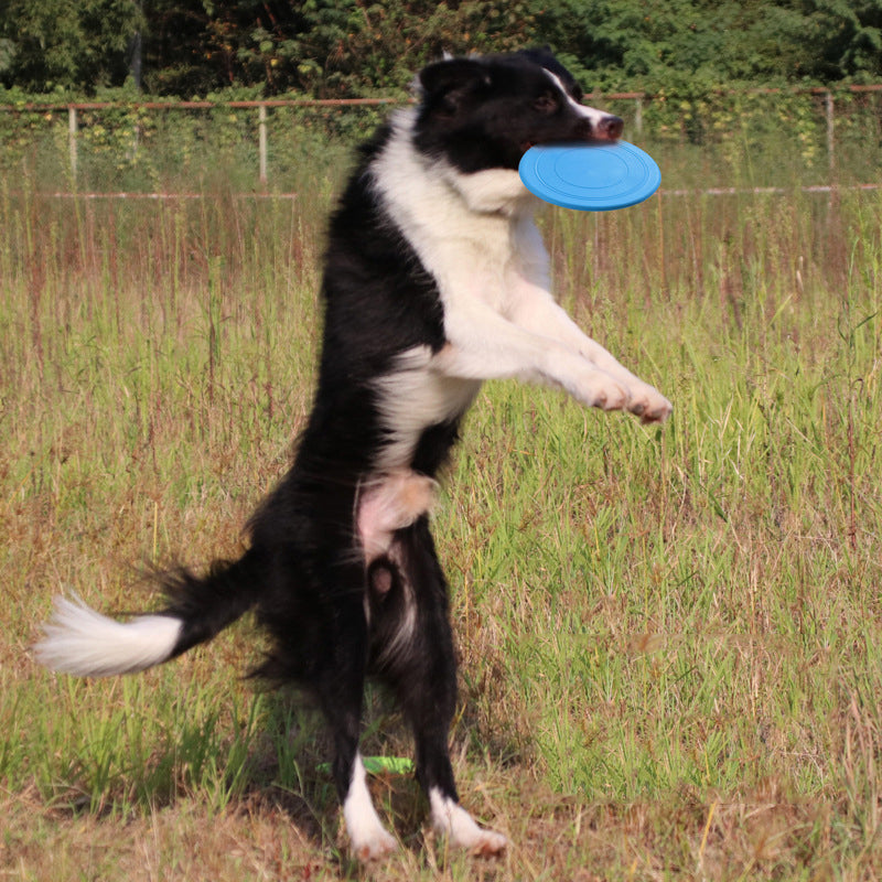Dog Frisbee Toy – Soft Bite-Resistant TPR Flying Disc for Dogs, Interactive Fetch & Training Toy, Floats on Water – 7 Colours