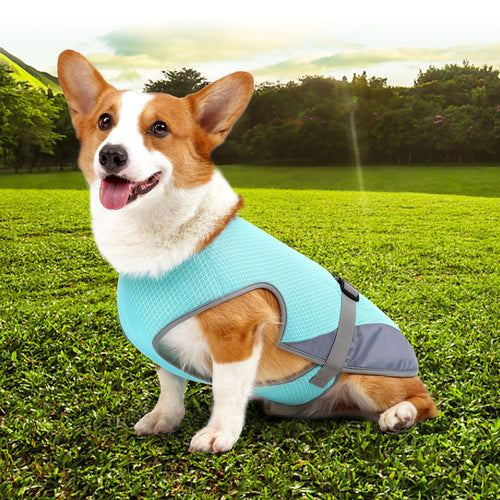 Dog Cooling Clothing