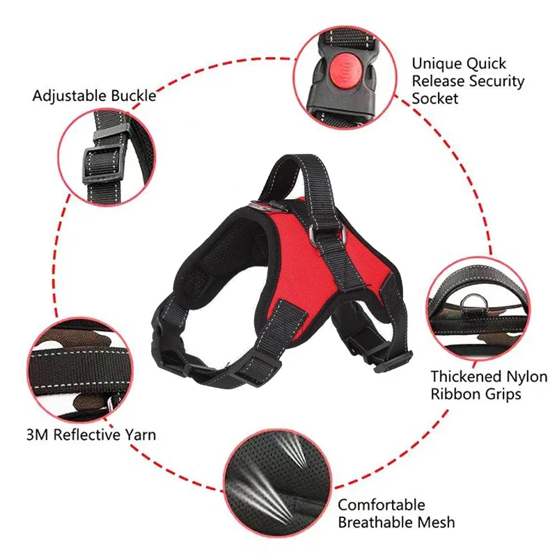 Dog Harness And Leash Set No Pull Adjustable Comfortable with Easy Control Handle Outdoor Running Walking Hand Free Lead Leash